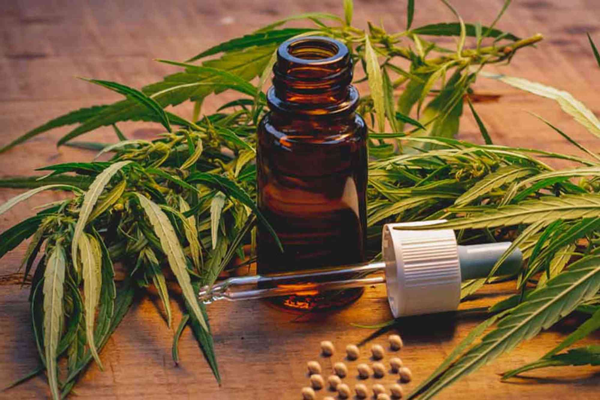 Pet CBD UAE Legality