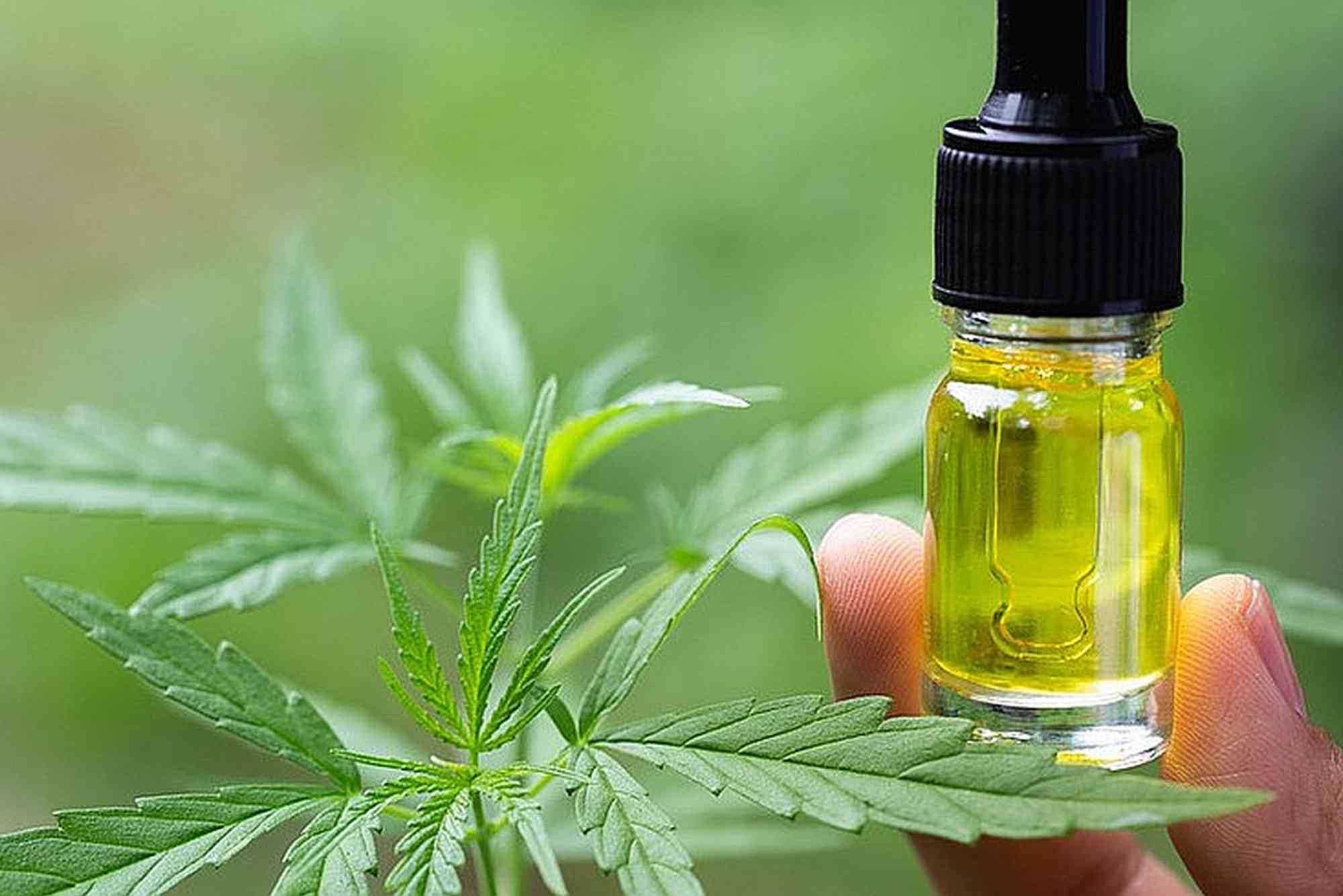 Best CBD Oil UAE
